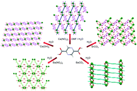 Graphical abstract: Coordination polymers from alkaline-earth nodes and pyrazine carboxylate linkers