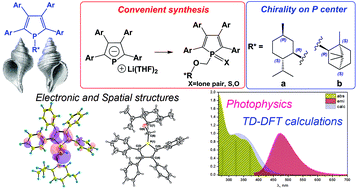 Graphical abstract: Novel enantiopure monophospholes: synthesis, spatial and electronic structure, photophysical characteristics and conjugation effects