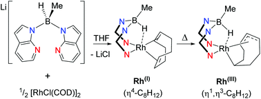 Graphical abstract: Preparation and reactivity of rhodium and iridium complexes containing a methylborohydride based unit supported by two 7-azaindolyl heterocycles