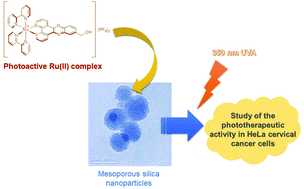 Graphical abstract: Mesoporous silica nanoparticles functionalised with a photoactive ruthenium(ii) complex: exploring the formulation of a metal-based photodynamic therapy photosensitiser
