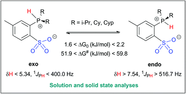 Graphical abstract: ortho-Phenyl dialkylphosphonium sulfonate compounds: two rotamers in equilibrium