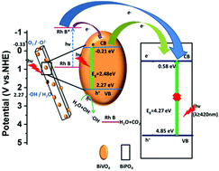 Graphical abstract: BiVO4 quantum dot-decorated BiPO4 nanorods 0D/1D heterojunction for enhanced visible-light-driven photocatalysis