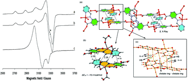 Graphical abstract: Effect of temperature and ligand protonation on the electronic ground state in Cu(ii) polymers having unusual secondary interactions: a magnetic and catechol oxidase study