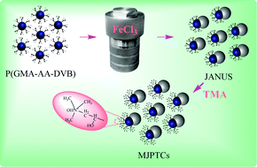 Graphical abstract: Quaternary ammonium functionalized Fe3O4 & P(GMA-AA-DVB) magnetic Janus particles as highly efficient catalysts for phase transfer reactions