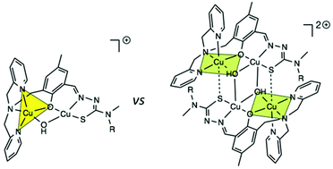 Graphical abstract: Tetranuclear and dinuclear phenoxido bridged copper complexes based on unsymmetrical thiosemicarbazone ligands