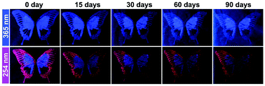 Graphical abstract: Tunable and ultra-stable UV light-switchable fluorescent composites for information hiding and storage