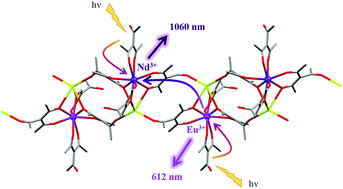 Graphical abstract: Energy transfer between Eu3+ and Nd3+ in near-infrared emitting β-triketonate coordination polymers