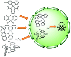 Graphical abstract: Acridine-decorated cyclometallated gold(iii) complexes: synthesis and anti-tumour investigations