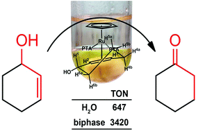 Graphical abstract: Good isomerization of 2-cyclohexenol by two Ru(ii) complexes, synthesis and characterization of a reaction intermediate