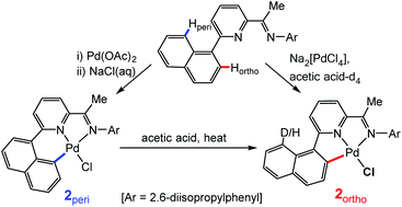 Graphical abstract: Ligand and solvent control of selectivity in the C–H activation of a pyridylimine-substituted 1-naphthalene; a combined synthetic and computational study