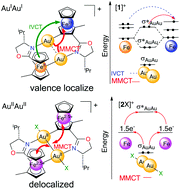 Graphical abstract: Intervalence of two planar chiral 2-methylferrocenyl groups over a diaurum bridge