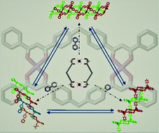 Graphical abstract: A Cu(ii) metallocycle for the reversible self-assembly of coordination-driven polyrotaxane-like architectures