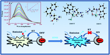 Graphical abstract: A dual response fluorescent sensor for HNO and S2− ions using a Cu(ii) complex based probe assisted by detailed DFT studies