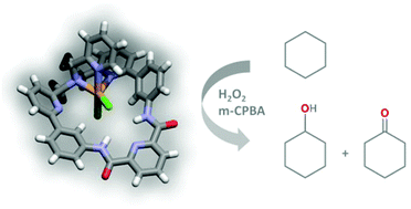 Graphical abstract: Mononuclear iron(ii) complexes containing a tripodal and macrocyclic nitrogen ligand: synthesis, reactivity and application in cyclohexane oxidation catalysis