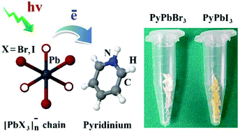 Graphical abstract: Pyridinium lead tribromide and pyridinium lead triiodide: quasi-one-dimensional perovskites with an optically active aromatic π-system