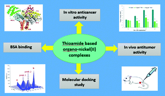 Graphical abstract: In vitro and in vivo antiproliferative activity of organo-nickel SCS-pincer complexes on estrogen responsive MCF7 and MC4L2 breast cancer cells. Effects of amine fragment substitutions on BSA binding and cytotoxicity