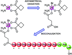 Graphical abstract: Synthesis of monofunctional platinum(iv) carboxylate precursors for use in Pt(iv)–peptide bioconjugates