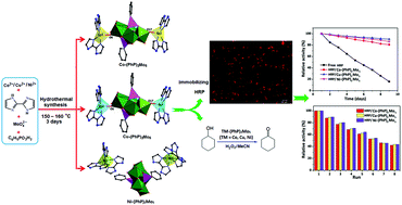 Graphical abstract: Three new Strandberg-type phenylphosphomolybdate supports for immobilizing horseradish peroxidase and their catalytic oxidation performances