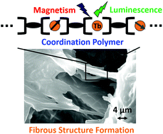 Graphical abstract: Slow magnetic relaxation in a Tb(iii)-based coordination polymer