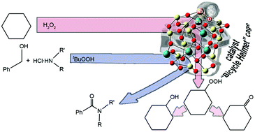 Graphical abstract: A new “bicycle helmet”-like copper(ii),sodiumphenylsilsesquioxane. Synthesis, structure and catalytic activity