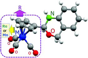 Graphical abstract: A novel type of organometallic 2-R-2,4-dihydro-1H-3,1-benzoxazine with R = [M(η5-C5H4)(CO)3] (M = Re or Mn) units. Experimental and computational studies of the effect of substituent R on ring-chain tautomerism