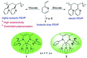 Graphical abstract: Perfectly isoselective polymerization of 2-vinylpyridine promoted by β-diketiminato rare-earth metal cationic complexes