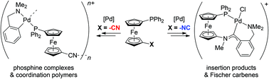 Graphical abstract: Comparing the reactivity of isomeric phosphinoferrocene nitrile and isocyanide in Pd(ii) complexes: synthesis of simple coordination compounds vs. preparation of P-chelated insertion products and Fischer-type carbenes