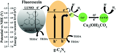 Graphical abstract: Boosting the photocatalytic hydrogen evolution activity of g-C3N4 nanosheets by Cu2(OH)2CO3-modification and dye-sensitization