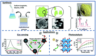Graphical abstract: Ru-Loaded mesoporous WO3 microflowers for dual applications: enhanced H2S sensing and sunlight-driven photocatalysis