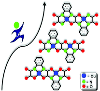 Graphical abstract: Promotion of antiferromagnetic exchange interaction in multinuclear copper(ii) complexes via fused oxamato/oxamidato ligands