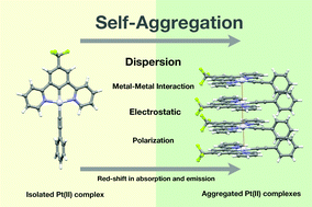 Graphical abstract: Theoretical insights into intermolecular interactions during d8 organometallic self-aggregation