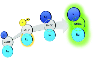 Graphical abstract: Cationic abnormal N-heterocyclic carbene ruthenium complexes as suitable precursors for the synthesis of heterobimetallic compounds