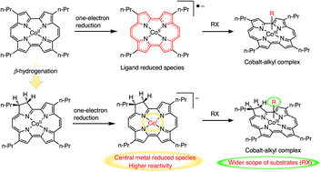 Graphical abstract: Redox behaviour of the β-dihydroporphycene cobalt complex: study on the effect of hydrogenation of the ligand