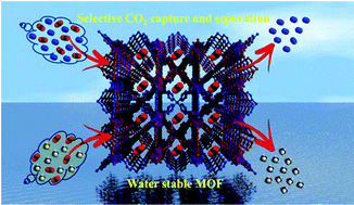 Graphical abstract: A robust and water-stable two-fold interpenetrated metal–organic framework containing both rigid tetrapodal carboxylate and rigid bifunctional nitrogen linkers exhibiting selective CO2 capture