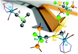 Graphical abstract: Confluence of disparate carbido chemistries: [WRuAu2(μ-C)2Cl2(CO)2(PCy3)2(Tp*)]