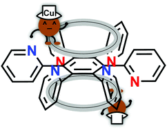 Graphical abstract: Fluxional motion in a dinuclear copper(i) complex with a propeller-type ligand: metal hopping on both sides