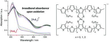Graphical abstract: Broadband near-IR absorbing Au-dithiolene complexes bearing redox-active oligothiophene ligands