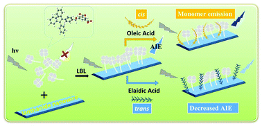 Graphical abstract: Inducing the distinctly different fluorescence properties of a tetraphenylethene (TPE) derivative modified lanthanide nanowire upon the addition of a pair of cis- and trans-isomers of fatty acids