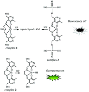 Graphical abstract: Interaction of monohydrogensulfide with a family of fluorescent pyridoxal-based Zn(ii) receptors