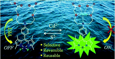 Graphical abstract: A water-soluble BODIPY based ‘OFF/ON’ fluorescent probe for the detection of Cd2+ ions with high selectivity and sensitivity