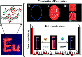 Graphical abstract: An anionic layered europium(iii) coordination polymer for solvent-dependent selective luminescence sensing of Fe3+ and Cu2+ ions and latent fingerprint detection