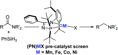 Graphical abstract: A comparative analysis of hydrosilative amide reduction catalyzed by first-row transition metal (Mn, Fe, Co, and Ni) N-phosphinoamidinate complexes