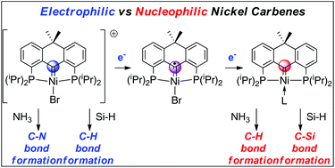 Graphical abstract: Redox-state dependent activation of silanes and ammonia with reverse polarity (PCcarbeneP)Ni complexes: electrophilic vs. nucleophilic carbenes