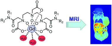 Graphical abstract: Gadolinium complexes of diethylenetriamine-N-oxide pentaacetic acid-bisamide: a new class of highly stable MRI contrast agents with a hydration number of 3