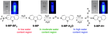 Graphical abstract: Colorimetric and ratiometric fluorescence sensing of water based on 9-methyl pyrido[3,4-b]indole-boron trifluoride complex