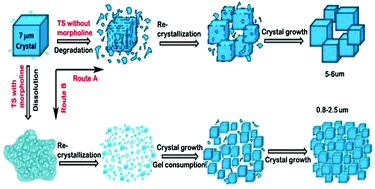 Graphical abstract: Synthesis of sub-micrometric SAPO-34 by a morpholine assisted two-step hydrothermal route and its excellent MTO catalytic performance