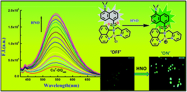 Graphical abstract: Dansyl-appended CuII-complex-based nitroxyl (HNO) sensing with living cell imaging application and DFT studies