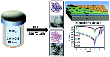 Graphical abstract: Highly flexible memristive devices based on MoS2 quantum dots sandwiched between PMSSQ layers