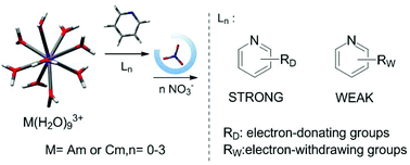 Graphical abstract: Binding affinity of pyridines with AmIII/CmIII elucidated by density functional theory calculations