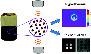 Graphical abstract: Combining magnetic hyperthermia and dual T1/T2 MR imaging using highly versatile iron oxide nanoparticles